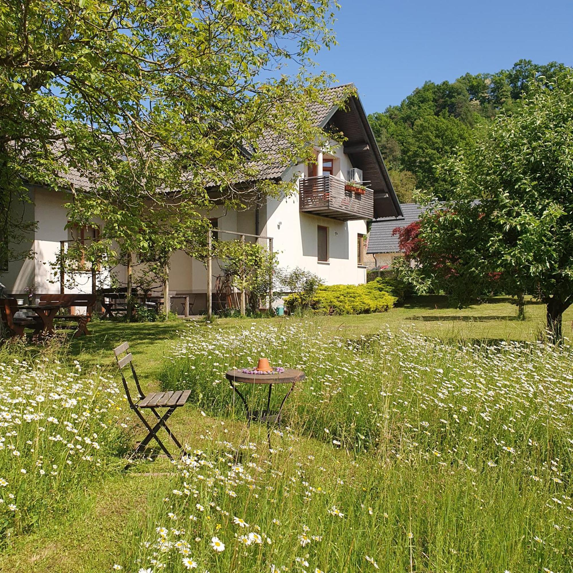 River House Radolca Bed & Breakfast Radovljica Exterior photo